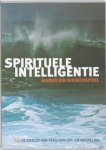 Marjolein Rikmenspoel - Spirituele Intelligentie
