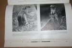  - The National Geographic Magazine - July, 1931
