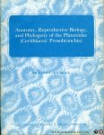 HOUBRICK, Richard S. - Anatomy, Reproductive Biology, and Phylogeny of the Planaxidae (Cerithicea: Prosobranchia)