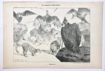Braakensiek, Johan (1858-1940) - [Original lithograph/lithografie by Johan Braakensiek] De toestand in Zuid-Afrika, 1 April 1900, 1 pp.