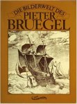 Melzer, Abraham - Die Bilderwelt des Pieter Bruegel