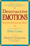 Daniel Goleman - Destructive Emotions A Scientific Dialogue with the Dalai Lama