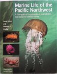Lamb, Andrew, Hanby, Bernard P. - Marine Life of the Pacific Northwest A Photographic Encyclopedia of Invertibrates, Seaweeds And Selected Fishes