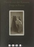 Rainer Wick - Hunde vor der Kamera / Dogs in Focus
