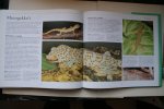C. Mattison - een praktische gids voor het houden van exotische huisdieren Exotische Terrariumdieren