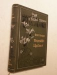 Rosegger, P. - AUSGEWÄHLTE  ausgewahlte SCHRIFTEN - Hoch vom Dachstein : Geschichten und Schildereien aus Steiermark