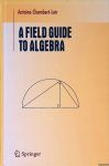 Chambert-Loir, Antoine - A Field Guide to Algebra