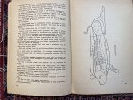 Koops, J. / Pottinga, A. J. - HUISSLACHT. Toegevoegd hoofdstuk 'Belagers van de slacht' en een enkel recept