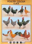 J. Batty, Charles Francis - Poultry Colour Guide