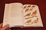 Madge, Steve / McGowan, Phil - Pheasants, Partridges and Grouse. Including buttonquails, sandgrouse and allies