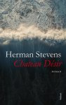 Herman Stevens - Chateau Désir
