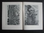 - La Guerre en Italie, La Bataille de Gorizia - La Guerre en Italie, La Bataille de Gorizia