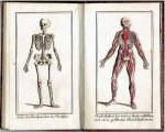 GRUBER, Ferdinand Joseph - Anschaulich gemachte Natur- und Körperlehre nebst einigen wichtigen Gesundheits-Regeln. Ein unterhaltendes Lese- und fassliches Unterrichts-Büchlein für die Jugend