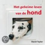 Taylor, David - Het geheime leven van de hond Taylor, David - Het geheime leven van de hond