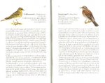  - VOGELS KIJKEN vanuit de Trein - G.J. Oreel - Treinenloop en Vogelvlucht