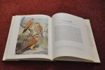 Voous, K.H. / Slijper, H.J. - Roofvogels en uilen van Europa