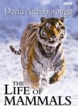 David Attenborough 17336 - The Life of Mammals