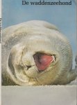 Peter Reijnders en Noortje van Leeuwen-Seelt  Vormgeving  Rob Janssen - De waddenzeehond
