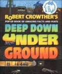 Crowther, Robert - Deep down under ground. Pop-up book of facts and feats