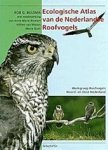 Rob G. Bijlsma , Anne-Marie Blomert 88382 - Ecologische atlas van de Nederlandse roofvogels
