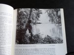  - Artikel De Stille Zuidzee, Melanesiers en Papoea’s