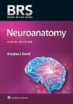 Douglas J. Gould - BRS Neuroanatomy