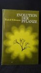 Rissmann, Rudolf, - Evolution der Pflanze. Vergangenheit, Gegenwart und Zukunft der Pflanzenwelt.