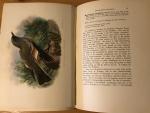 Crawshay, Richard & Johan G Keulemans - The Birds of Tierra del Fuego