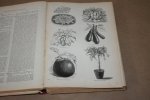Peter Henderson - Henderson's Handbook of Plants & General Horticulture