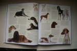 Bruce Fogle - DE NIEUWE ENCYCLOPEDIE VAN DE HOND