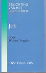 Walter Vogels - Job