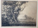 Bloem, Hendrik van (1874-1960) - [Original etching] Trees in the meadow, 1908.