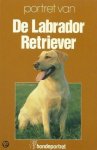 N.v.t., N.v.t. - Labrador retriever