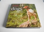 Onbekend - Dogs Honen Chiens Hunde Cani Perros A-G