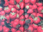 Laere, Stefaan van - Aardbeien verleidelijk en lekker Laere, Stefaan van - Aardbeien verleidelijk en lekker