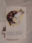 Pintera,Albert - Albert Pintera: KATTEN, een beschrijving van meer dan 90 soorten katten