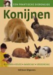 [{:name=>'J. Rijnders', :role=>'B06'}, {:name=>'A. MacDowall', :role=>'B01'}] - Konijnen / Een praktische dierengids