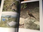 Robinson, Peter - The Birds of the Isles of Scilly Robinson, Peter - The Birds of the Isles of Scilly