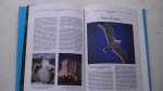 MacQuitty, Miranda - De wereld der dieren. Zeevogels