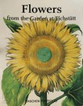Werner Dressendörfer - Flowers from the Garden at Eichstätt