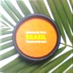 Evandro Salles (ed.); Lumen Argo Arte e Projeto (ed.) [ isbn 9788599851029 ] - Brasil - Sabores Da Terra / Flavours of the Land