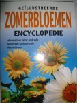 Nico Vermeulen - Geillustreerde  zomerbloemen encyclopedie