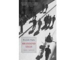 Ricardo Piglia - Brandend Geld