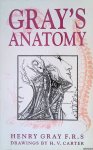 Gray, Henry - Anatomy: Descriptive and Surgical Gray, Henry - Anatomy: Descriptive and Surgical