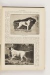 Java, Melati van (red.) - De huisvriend Geillustreerd maandblad 1891 (4 foto's)