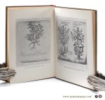 Lipchitz, E. E. (intr./ transl.). - Geoponiki. Vizantijskaya selskohozyajstvennaya jenciklopediya X veka / Geoponiki. Byzantine agricultural Encyclopedia X century. [ text in Russian ].