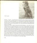 Rheenen, Jan van - De setter.