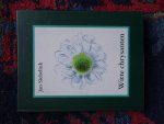 Siebelink, Jan - WITTE CHRYSANTEN