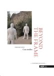 Dominique Bauer - Beyond the Frame case studies
