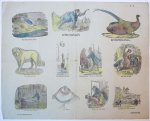  - Centsprent: Zes Fab’len, lieve jeugd, word’u hier voorgesteld ... No. 45.